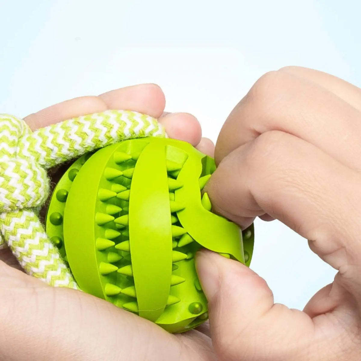 Treat Ball Rope Toy