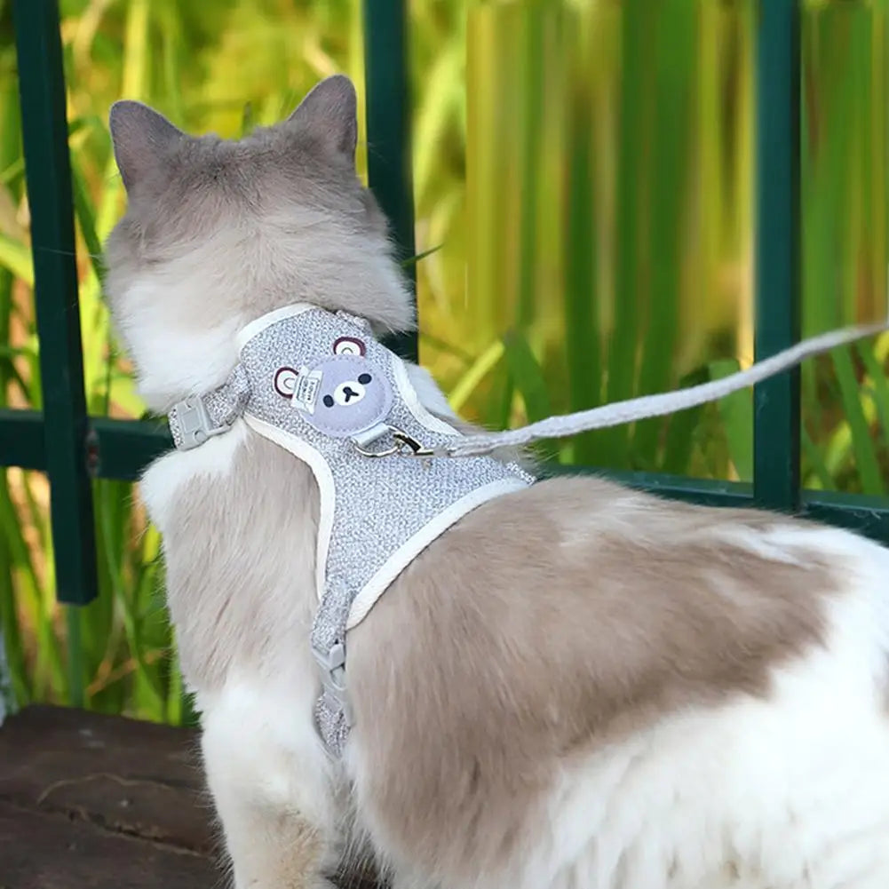 Teddy Pet Harness & Leash