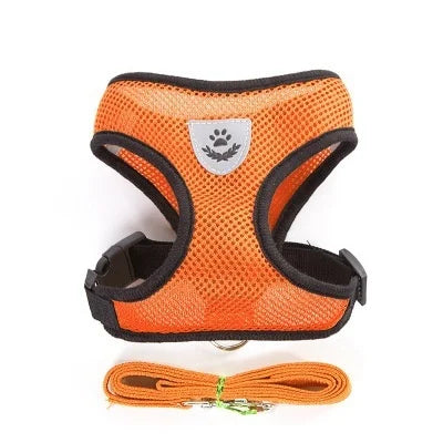 Pet Harness & Leash
