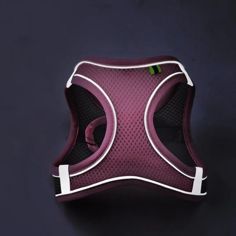 Reflective Mesh Pet Harness & Leash Set
