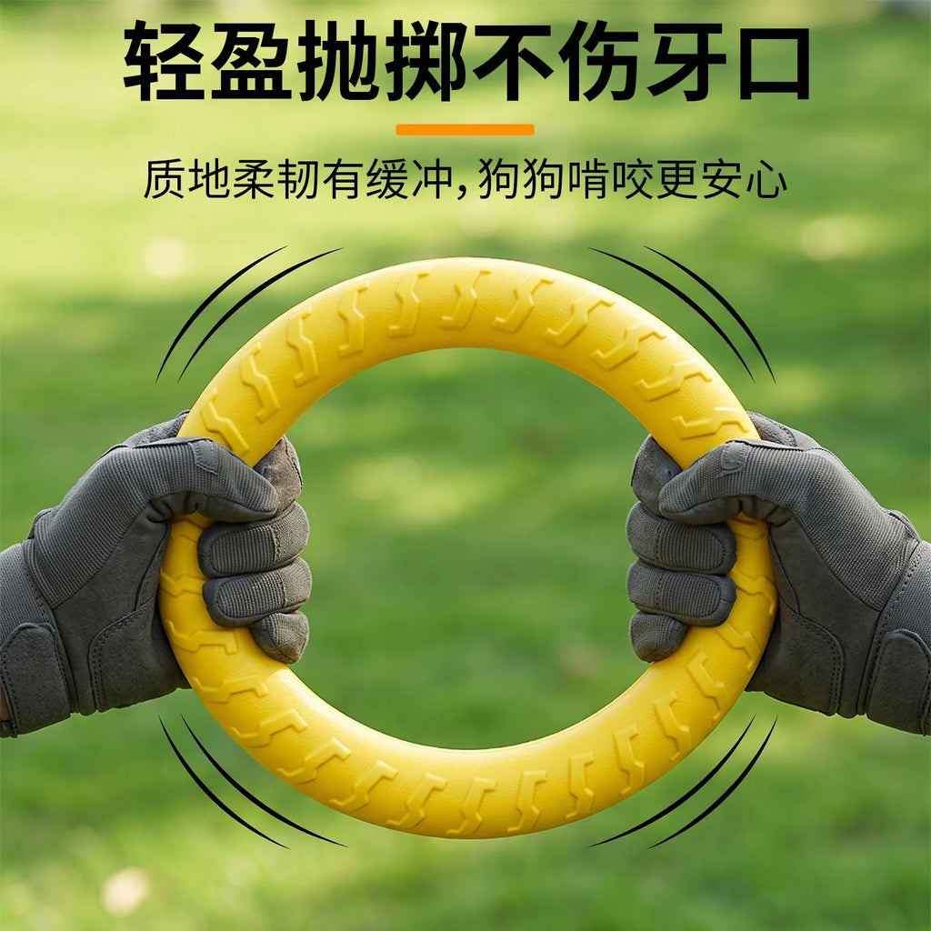 Fetch & Play Dog Toys