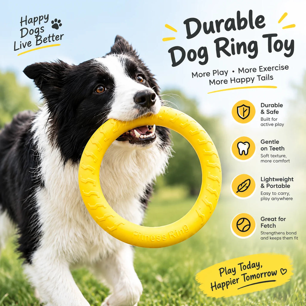 Fetch & Play Dog Toys