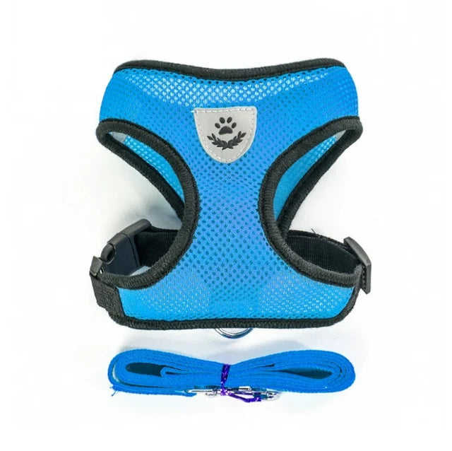 Pet Harness & Leash
