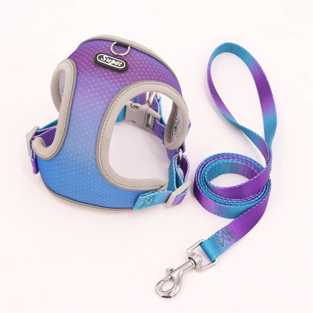 SoftStep Reflective Pet Harness & Leash Set