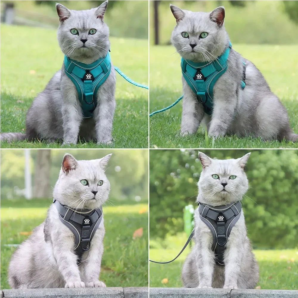 Adjustable Reflective Dog Harness & Leash Set