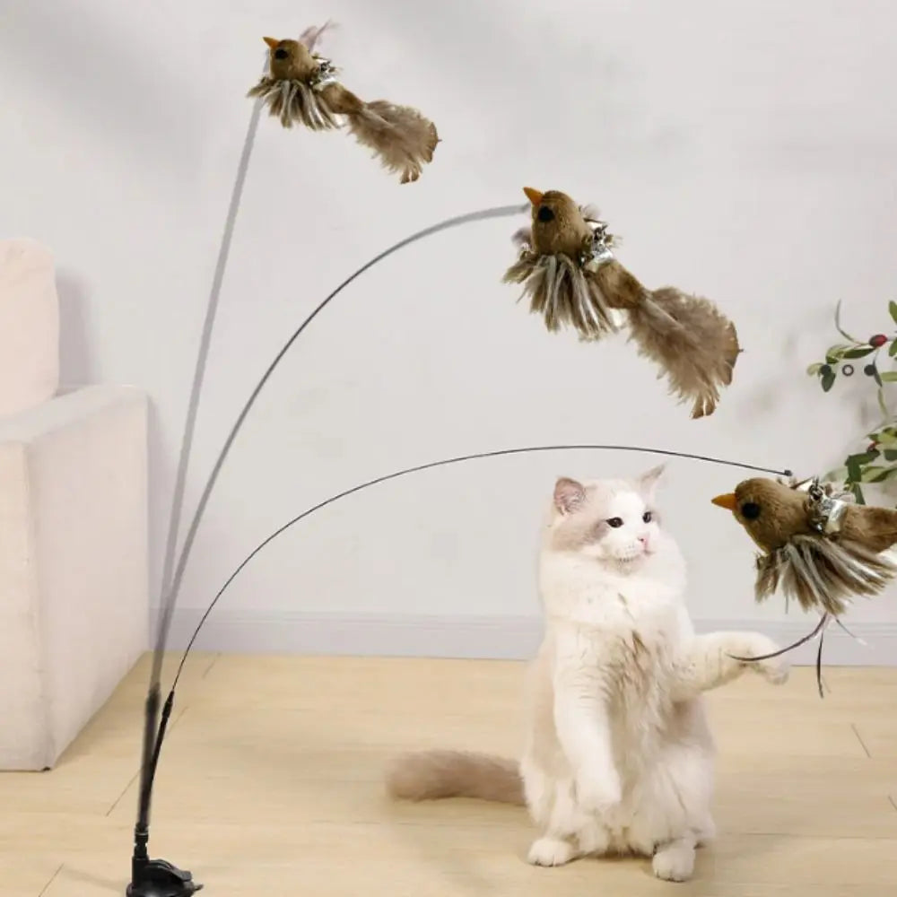 BirdieBounce Cat Teaser
