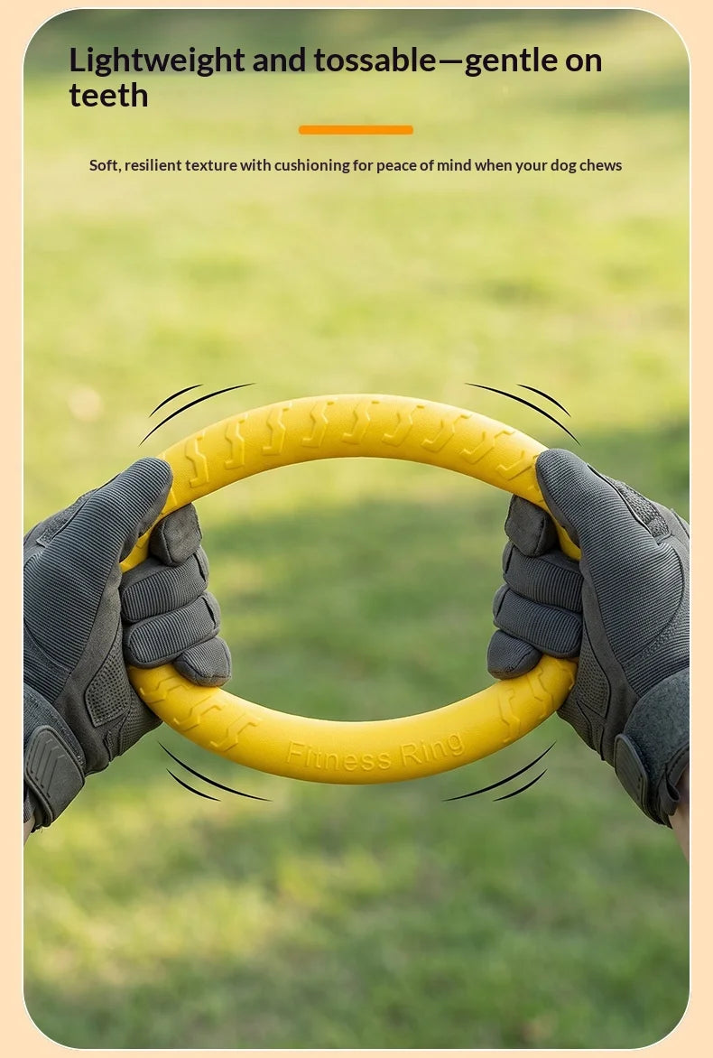 Fetch & Play Dog Toys