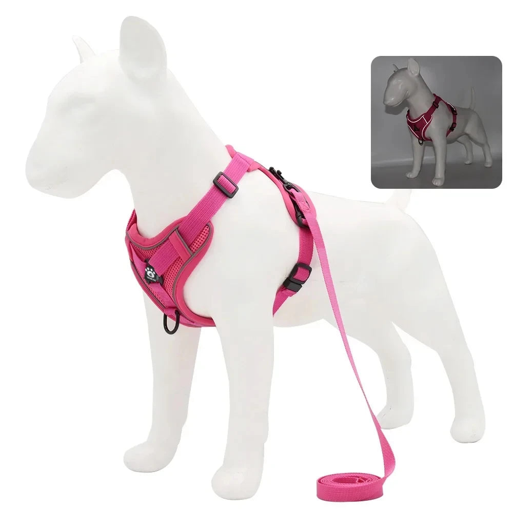 Adjustable Reflective Dog Harness & Leash Set