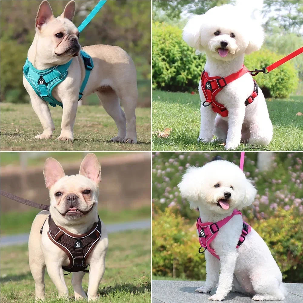 Adjustable Reflective Dog Harness & Leash Set