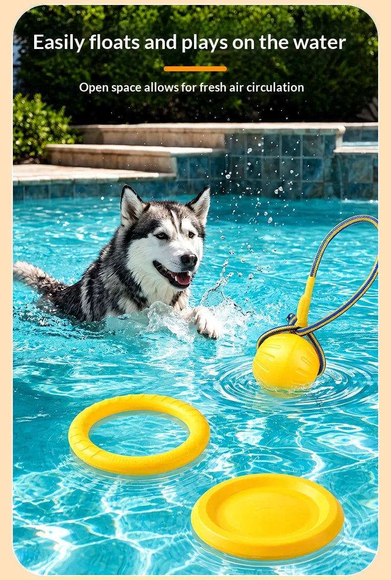 Fetch & Play Dog Toys