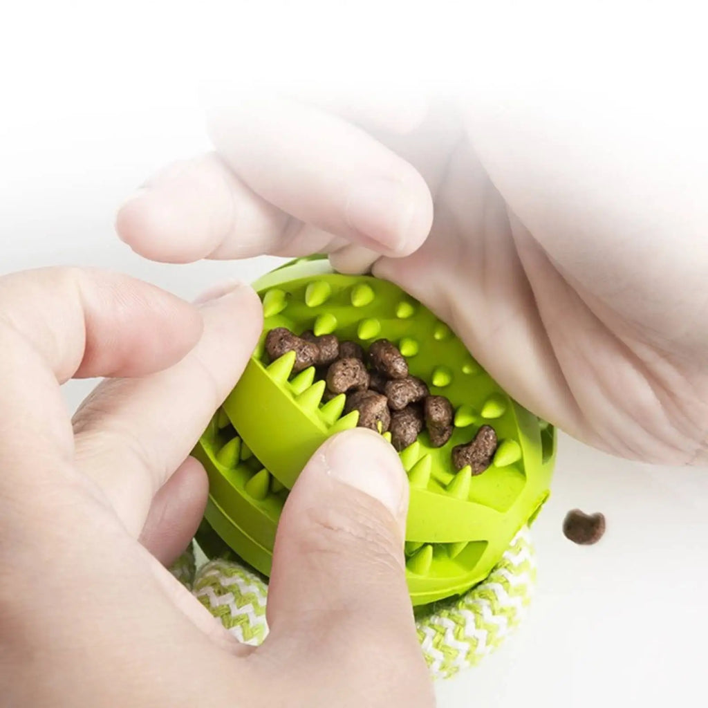 Treat Ball Rope Toy