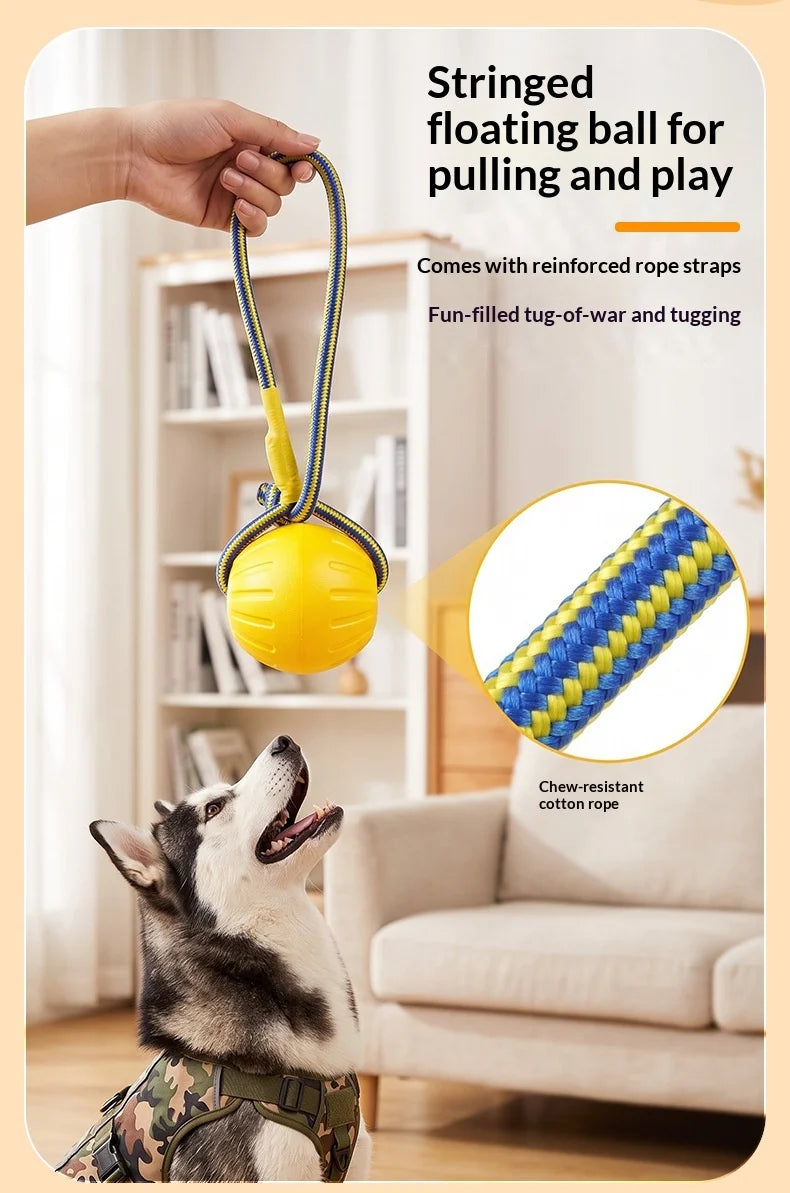Fetch & Play Dog Toys