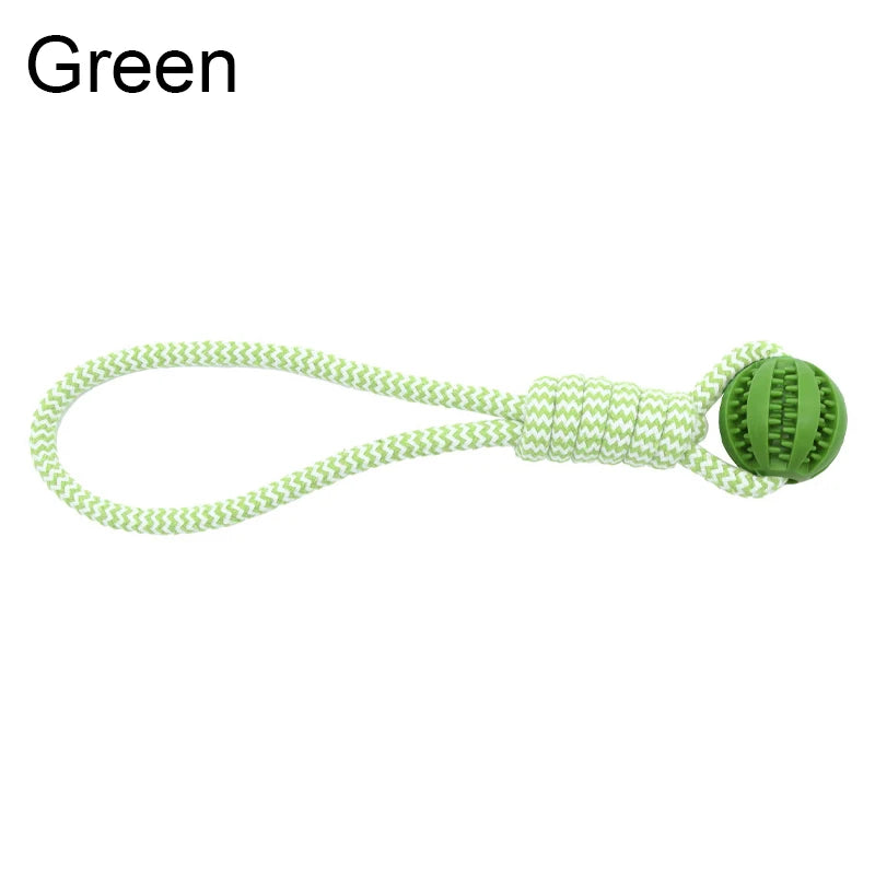 Treat Ball Rope Toy