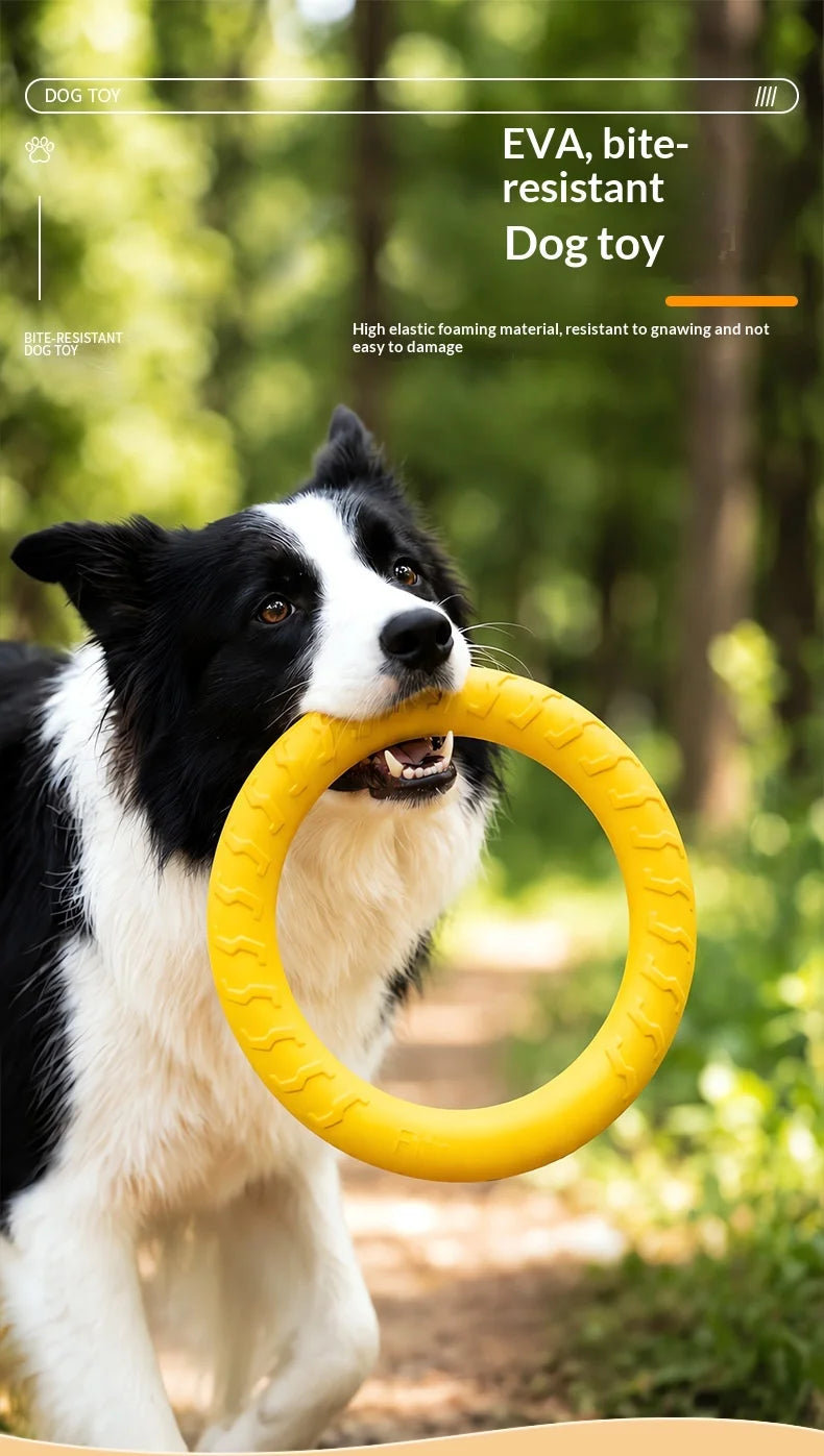 Fetch & Play Dog Toys