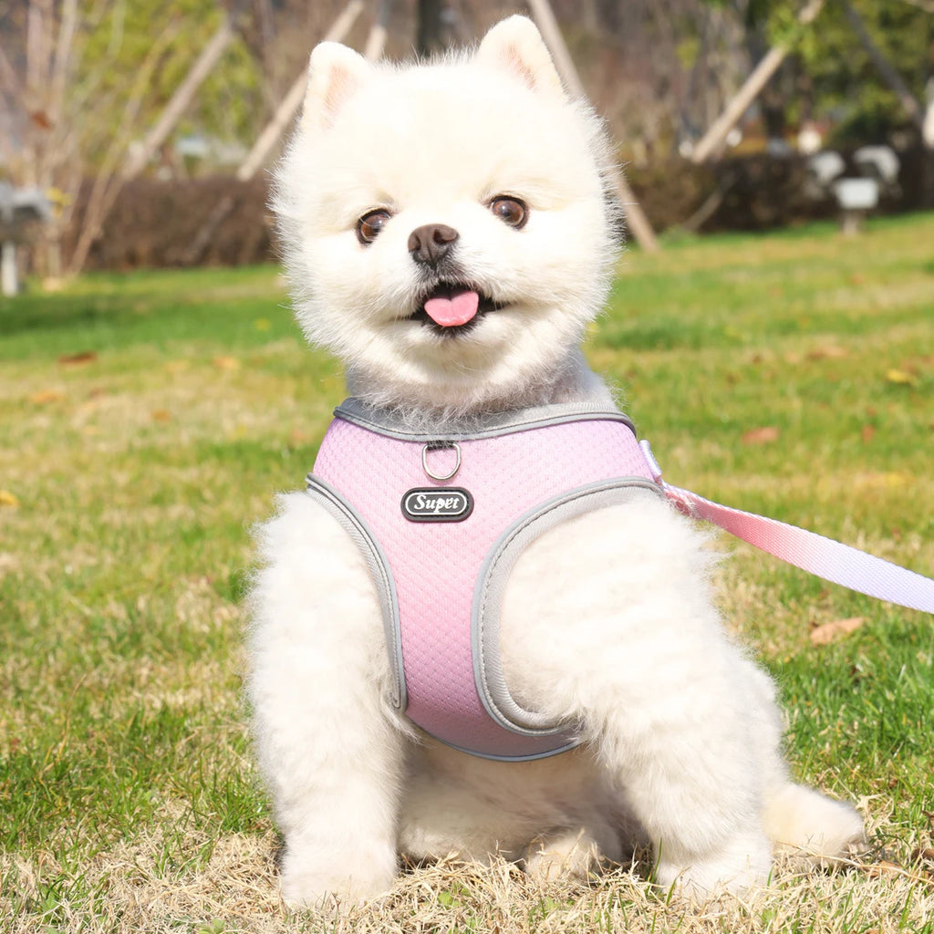 SoftStep Reflective Pet Harness & Leash Set