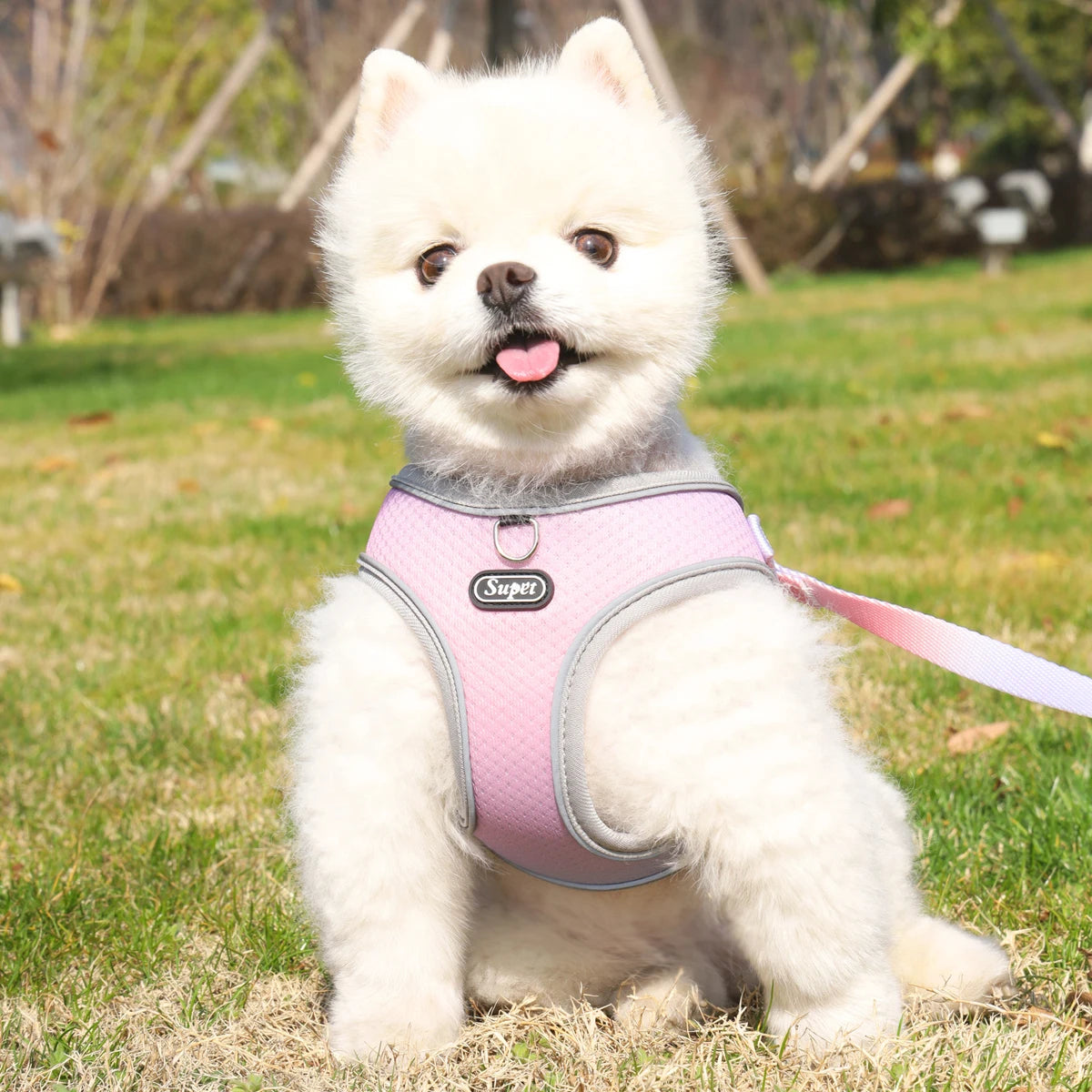 SoftStep Reflective Pet Harness & Leash Set