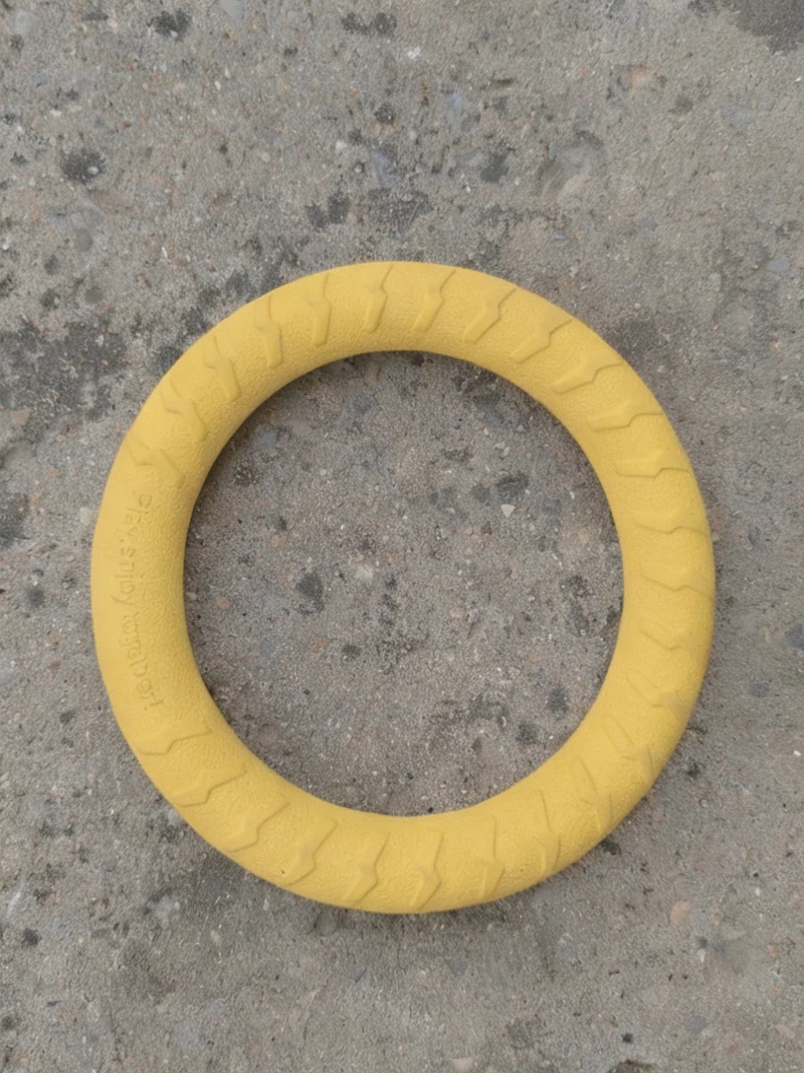 Fetch & Play Dog Toys