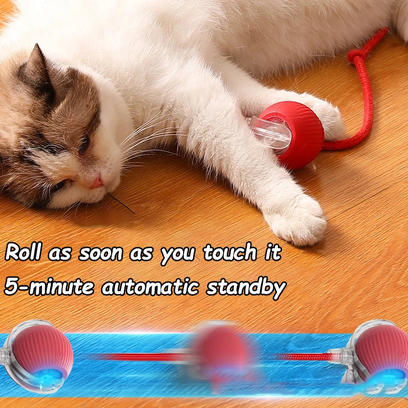 PounceTail Interactive Cat Ball