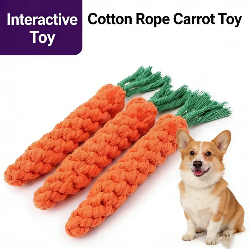 Carrot Rope Dog Toy