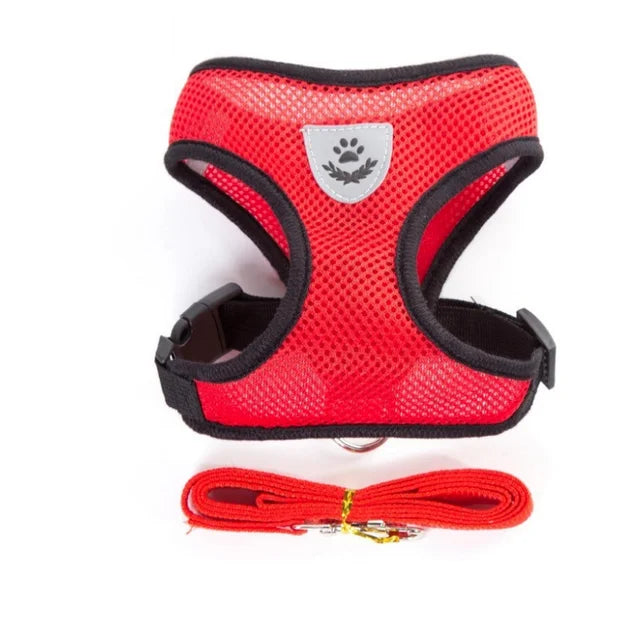Pet Harness & Leash