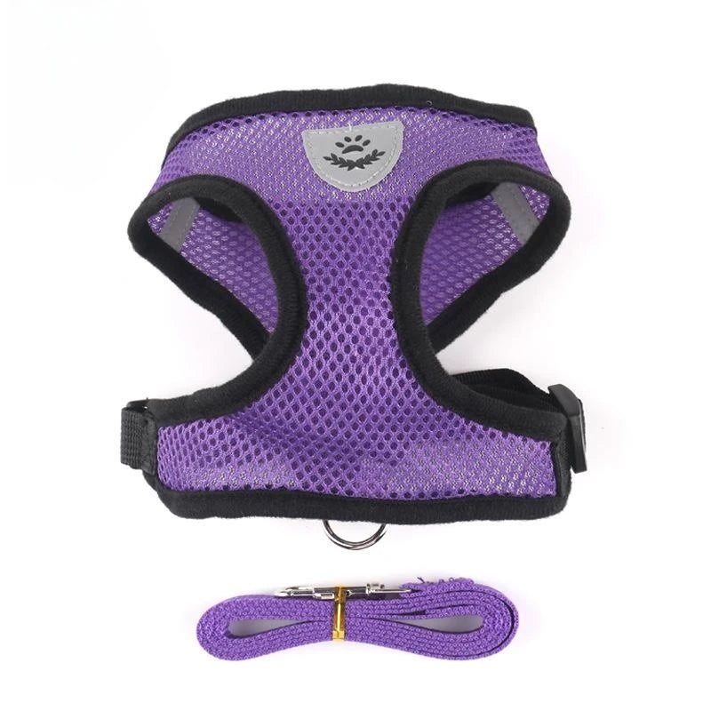Pet Harness & Leash