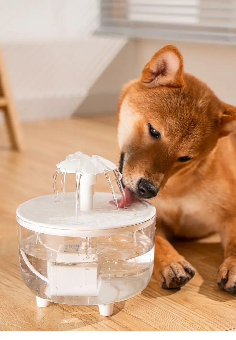 Flower Water Fountain for Cats & Small Dogs