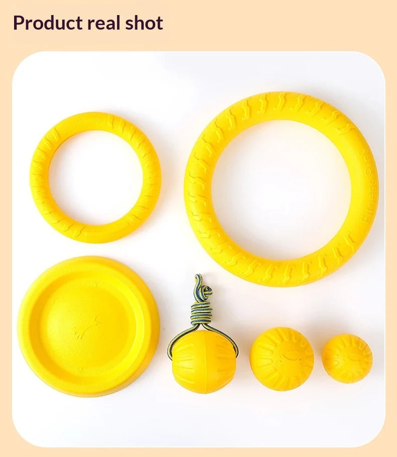 Fetch & Play Dog Toys