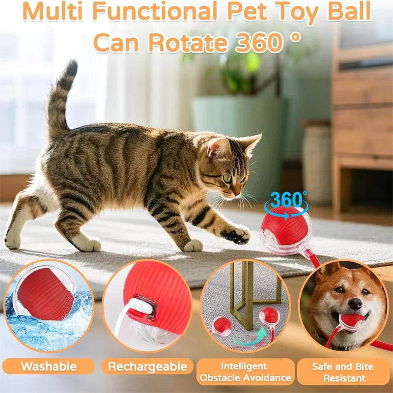PounceTail Interactive Cat Ball