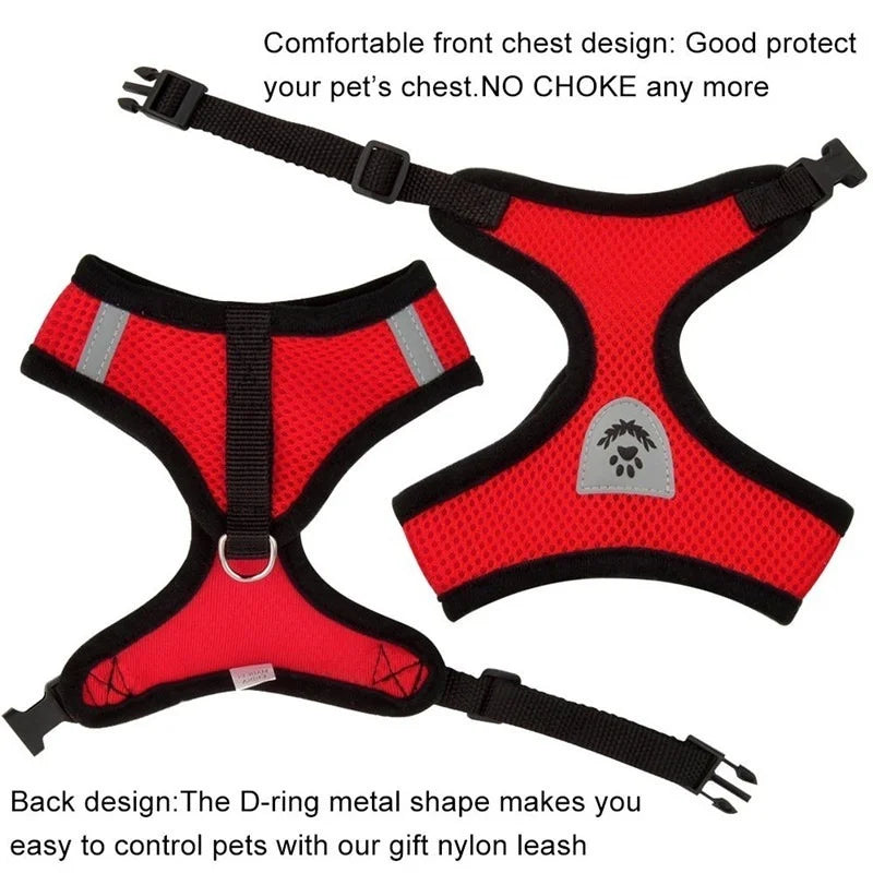 Pet Harness & Leash