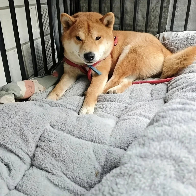 CloudRest Plush Pet Bed