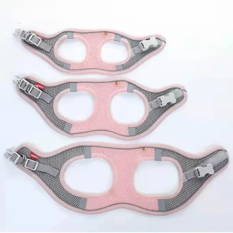 Reflective Mesh Pet Harness & Leash Set