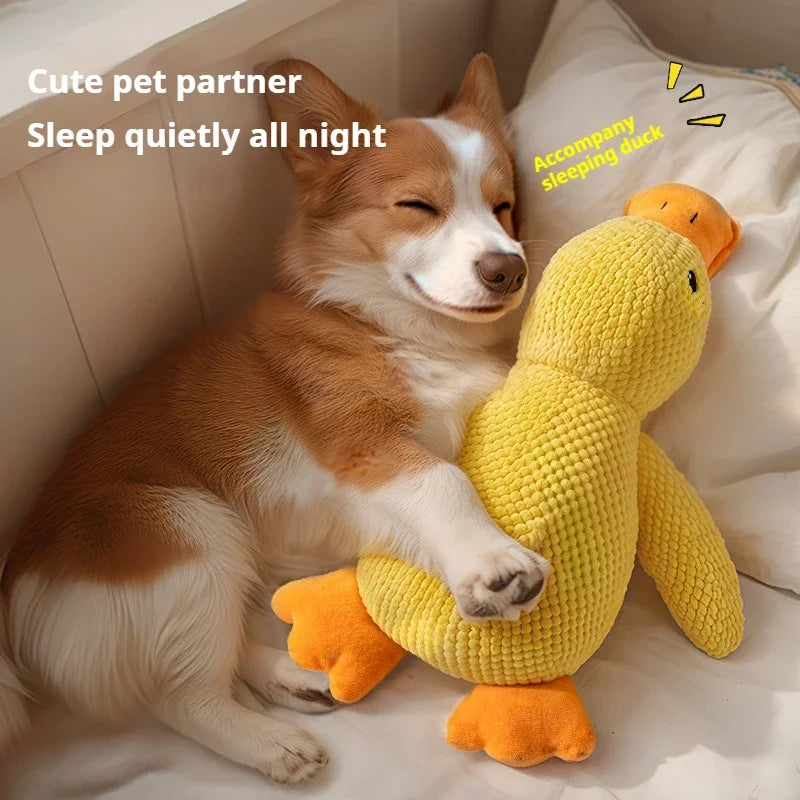 Squeaky Duck Dog Toy