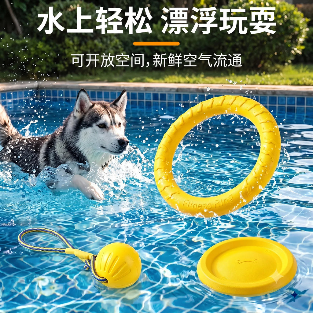 Fetch & Play Dog Toys