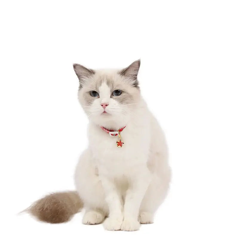 Floral Bell Cat Collar