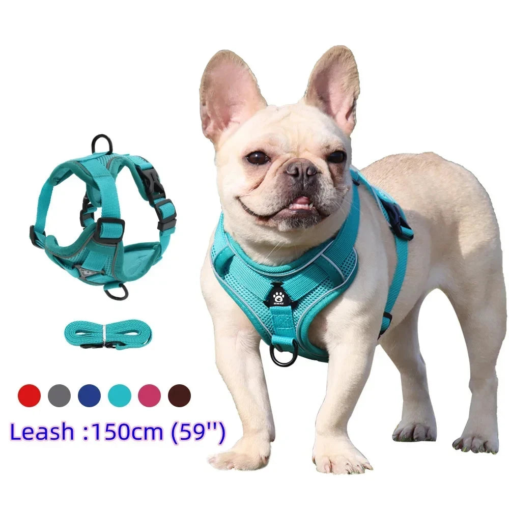 Adjustable Reflective Dog Harness & Leash Set
