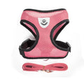 Pet Harness & Leash