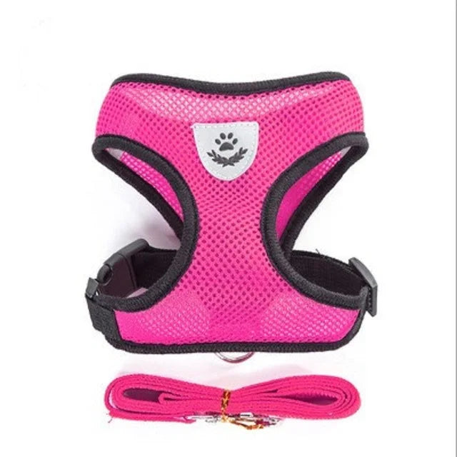 Pet Harness & Leash