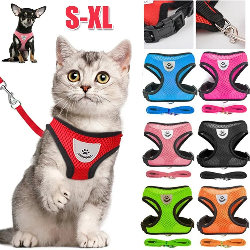 Pet Harness & Leash
