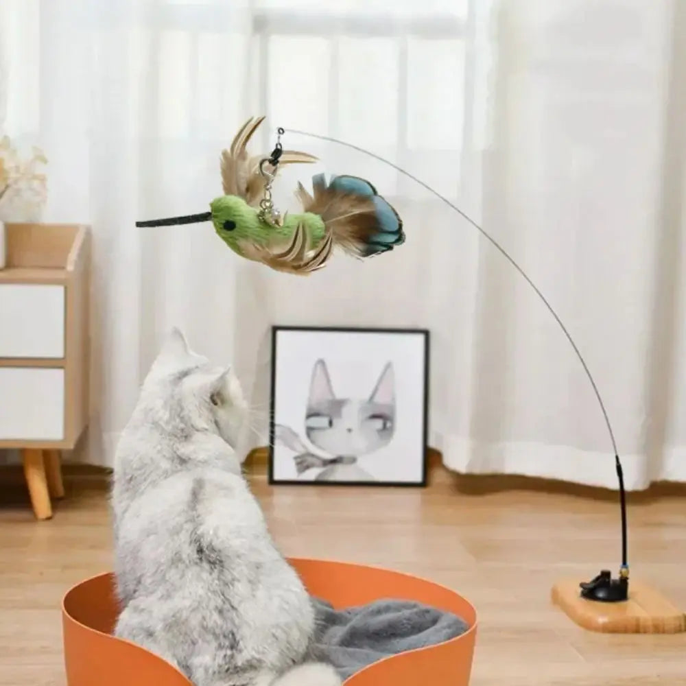 BirdieBounce Cat Teaser