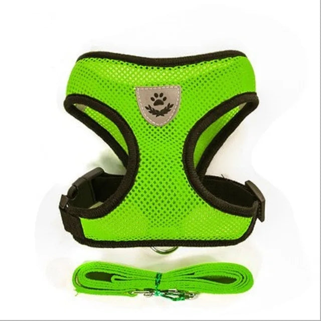 Pet Harness & Leash