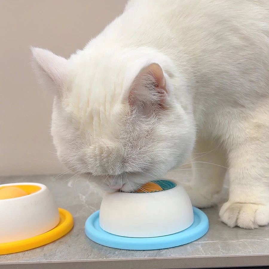Pet Lick Feeder