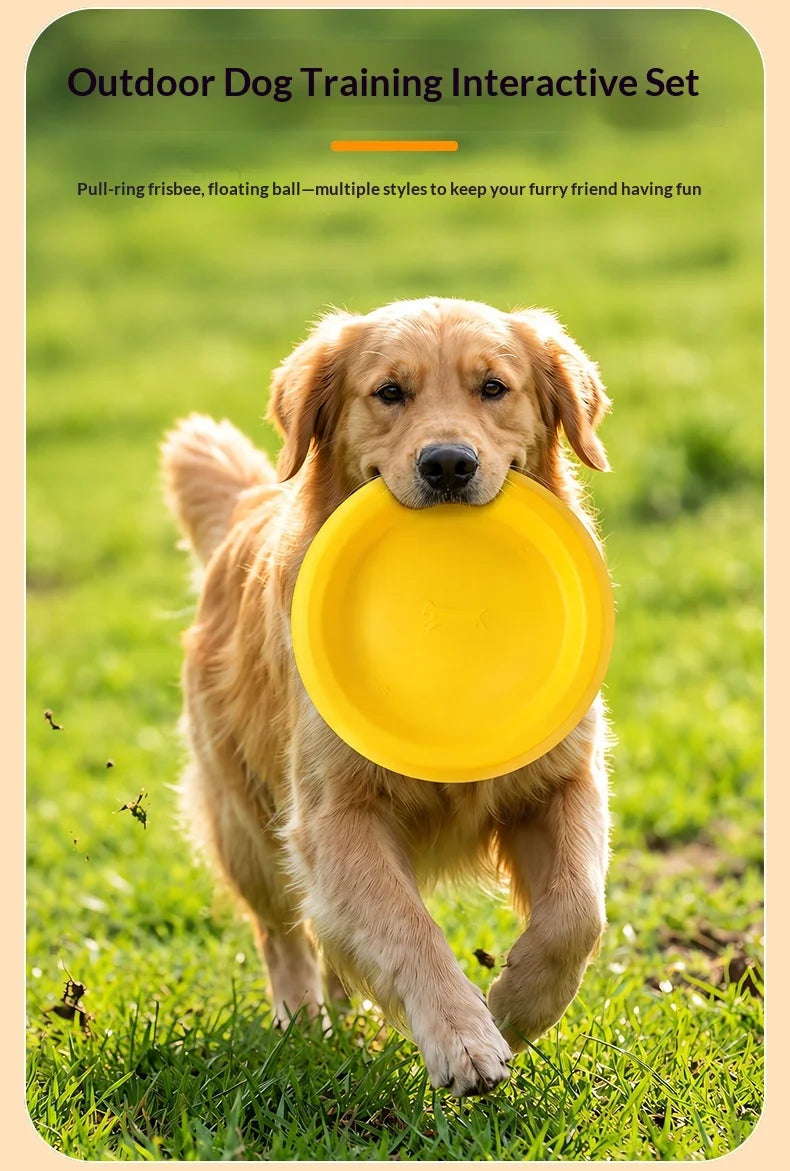 Fetch & Play Dog Toys