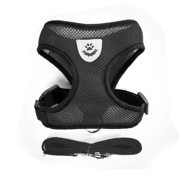 Pet Harness & Leash