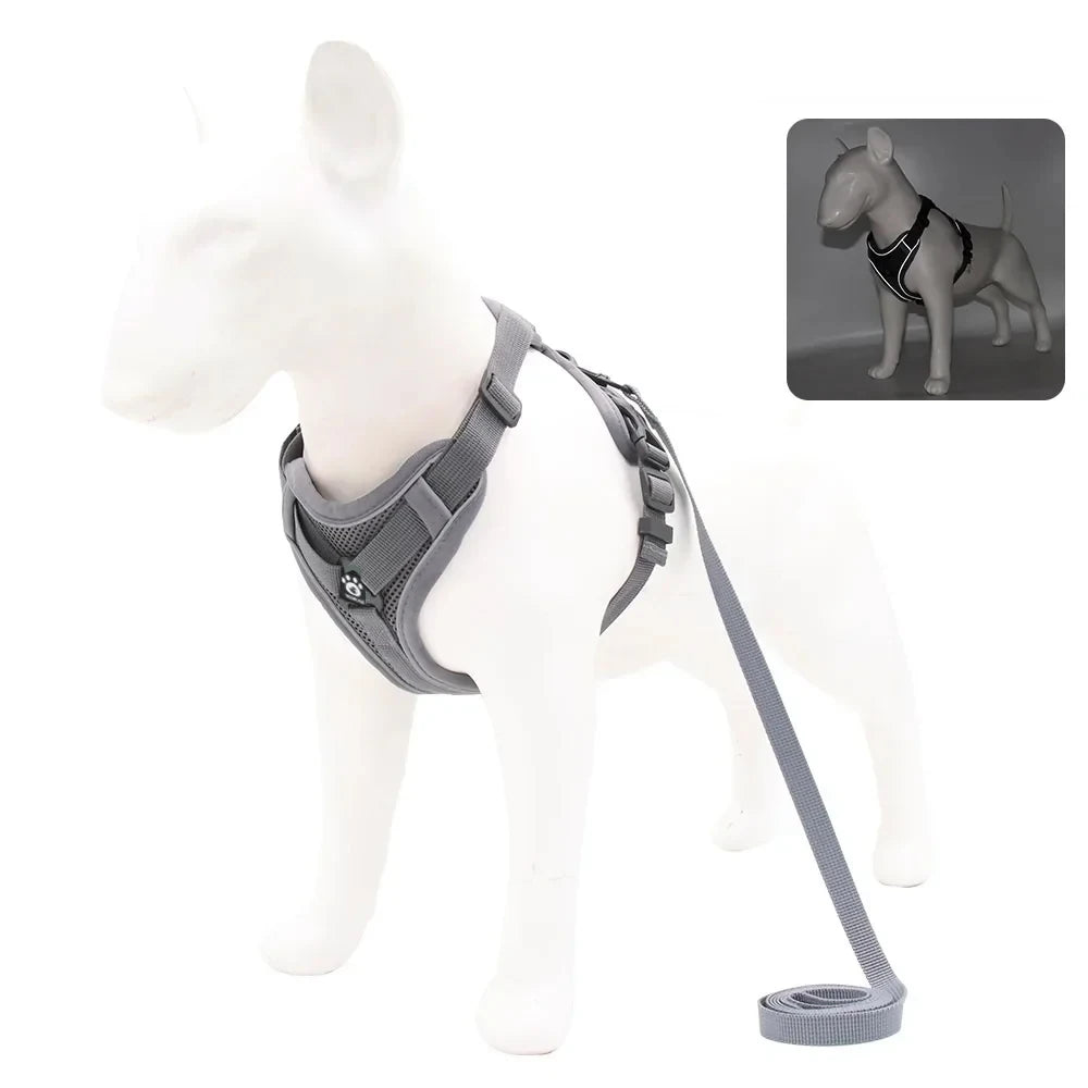 Adjustable Reflective Dog Harness & Leash Set