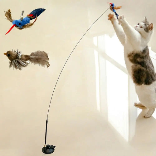 BirdieBounce Cat Teaser