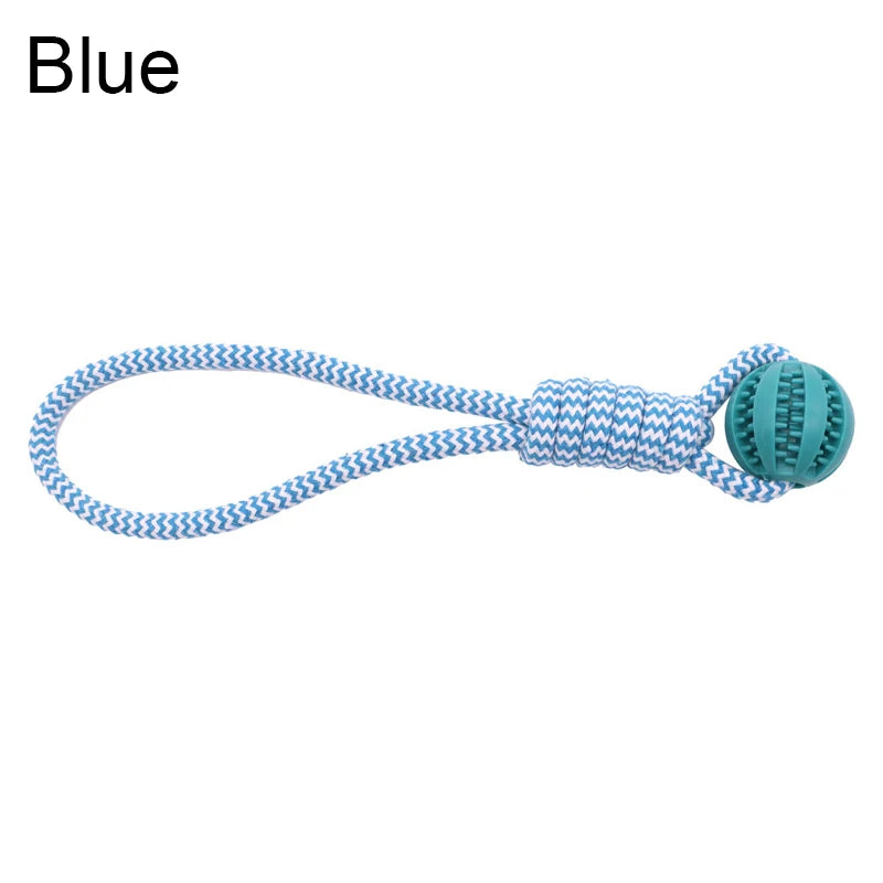 Treat Ball Rope Toy