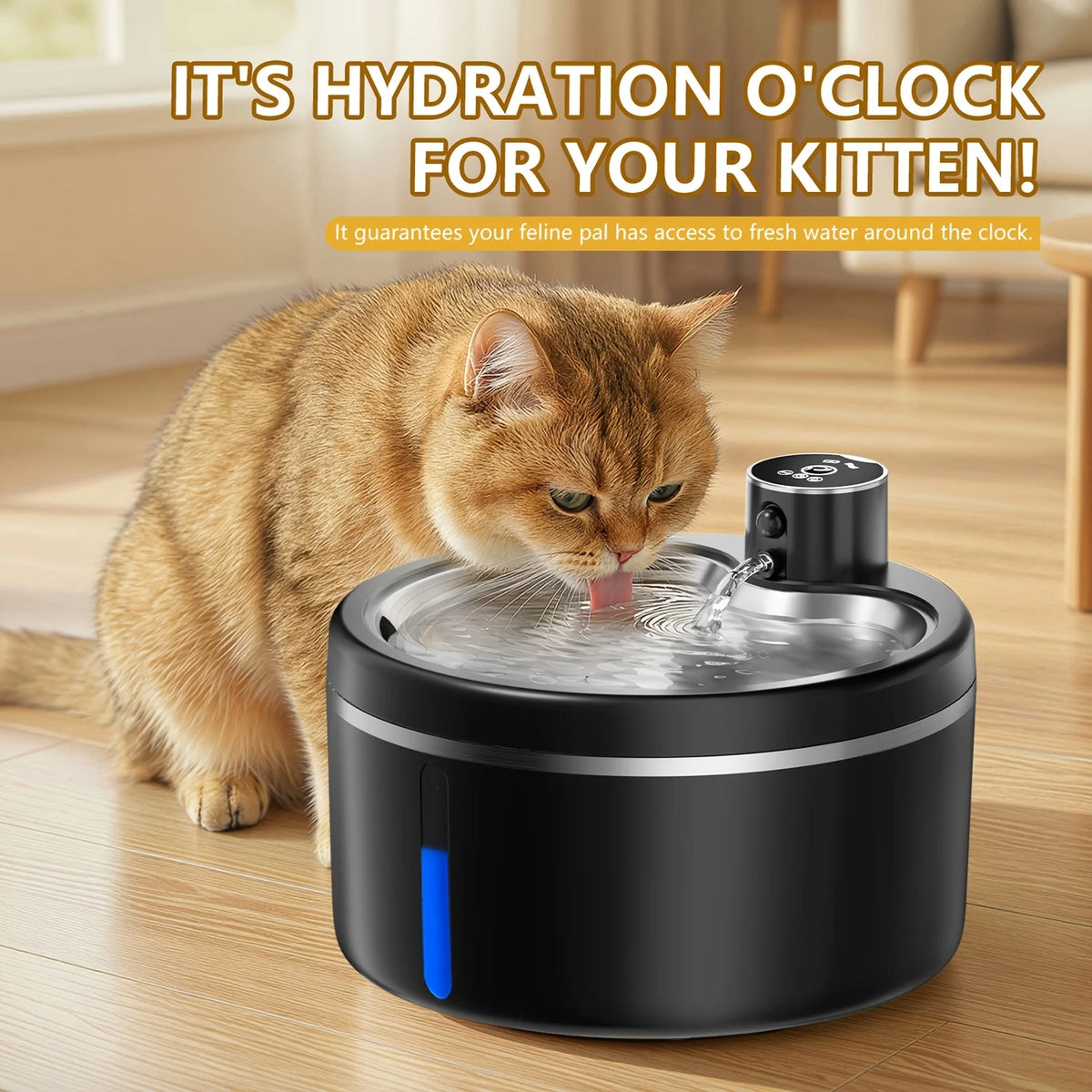 Cordless Water Fountain for Cats & Dogs
