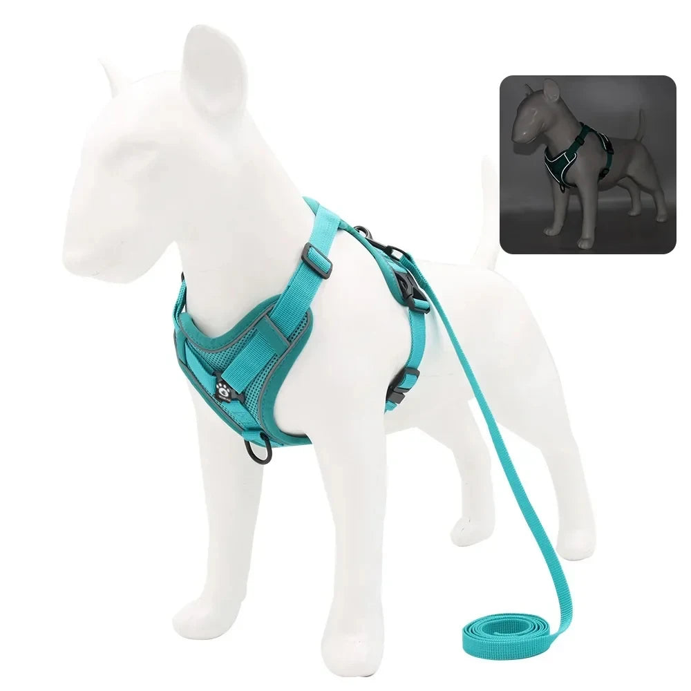 Adjustable Reflective Dog Harness & Leash Set
