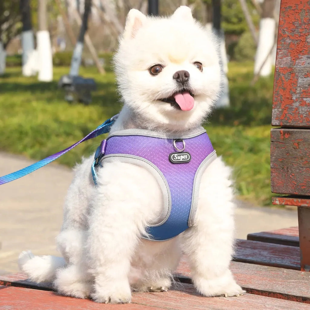 SoftStep Reflective Pet Harness & Leash Set