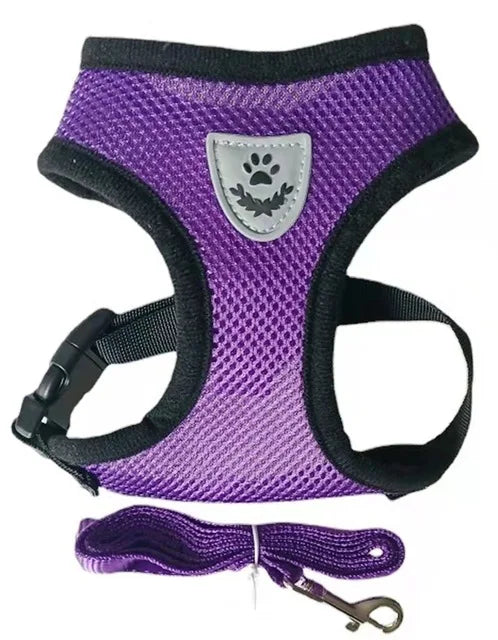 Pet Harness & Leash